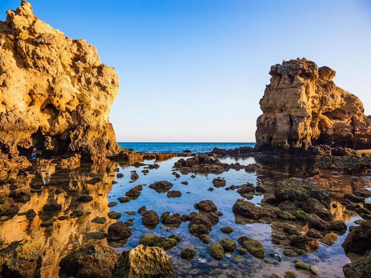 Luxury Apart Wstunning Sea Views, Walk Beach 알부페이라 외부 사진